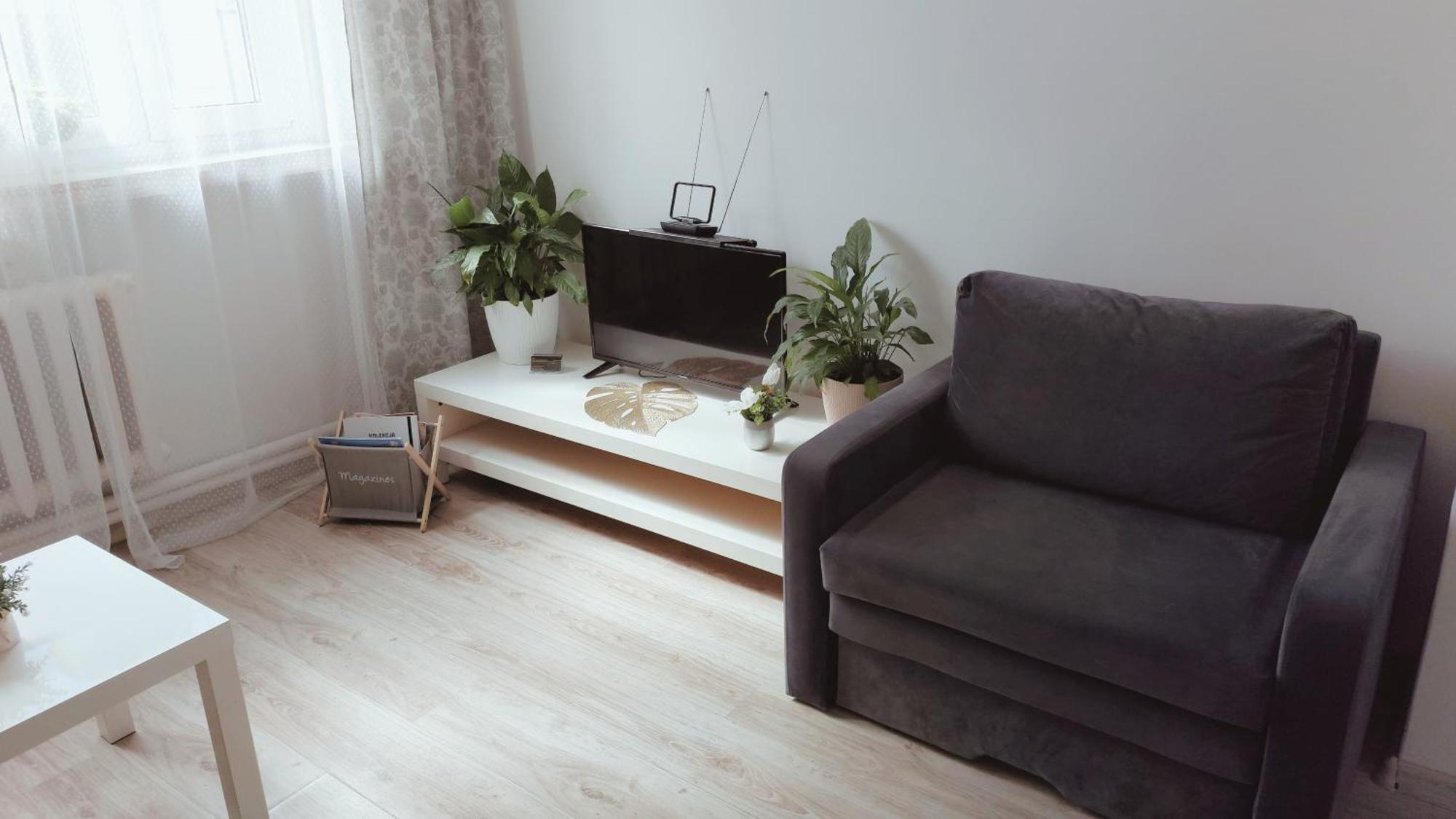 Apartamenty Na Szewskiej Przy Rynku I Jarmarku Bozonarodzeniowym 弗罗茨瓦夫 客房 照片